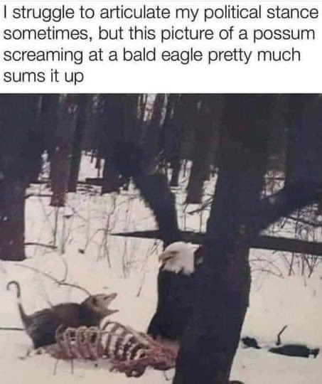 40 acres and a carcass - meme