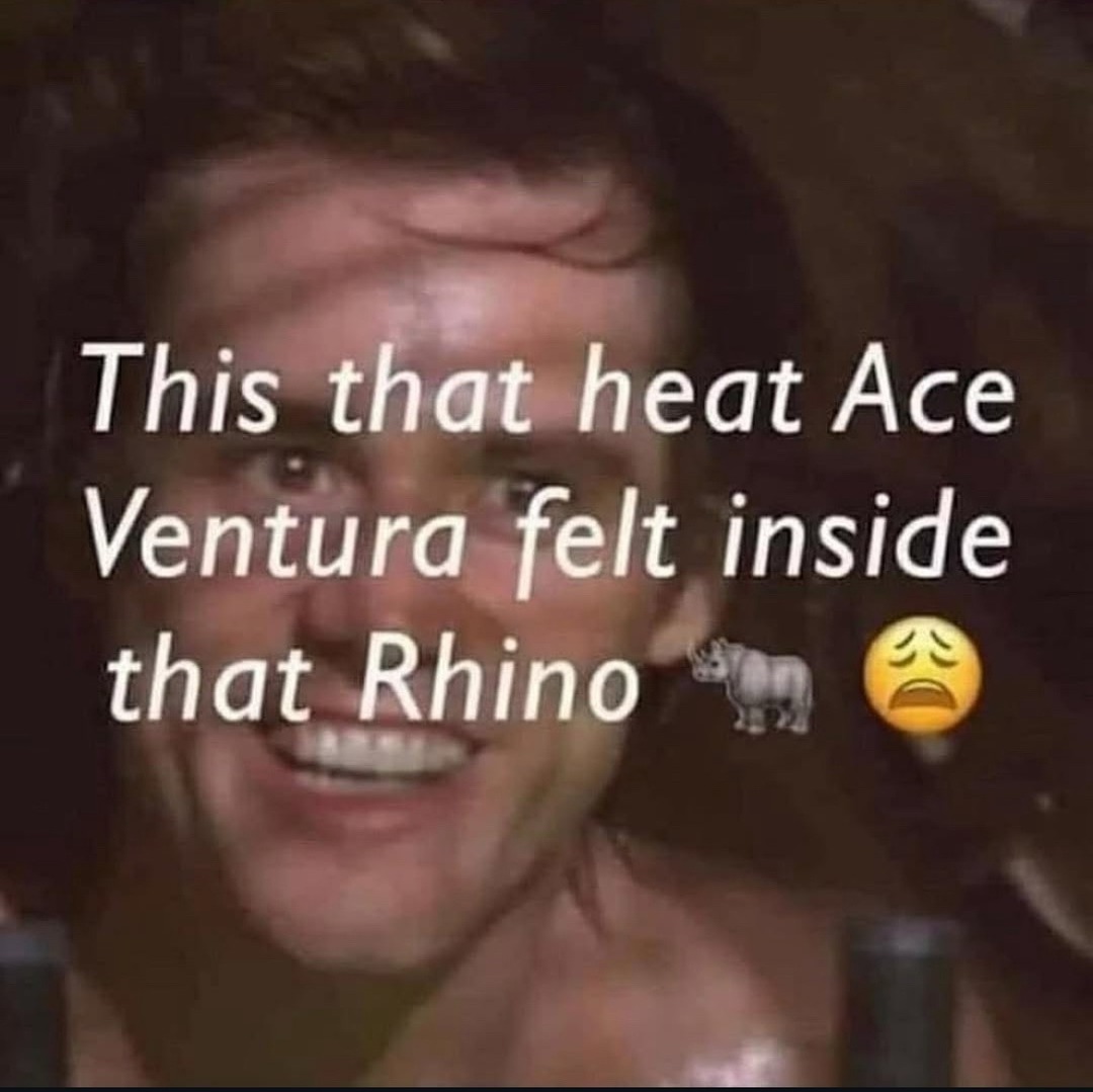 this heat got me feeling like Ace in the rhino - meme