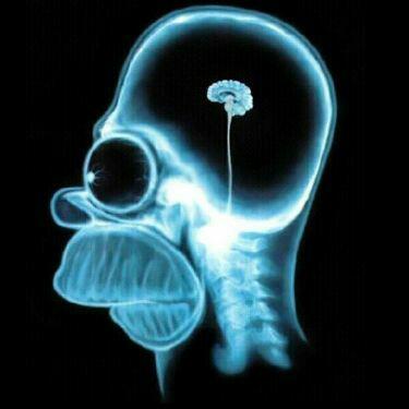Homor Simpsons Gehirn - meme