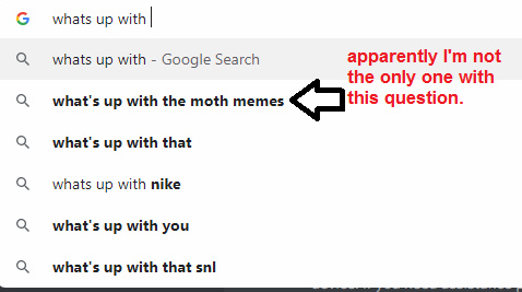 Ok, someone tell me what all this moth business is? - meme