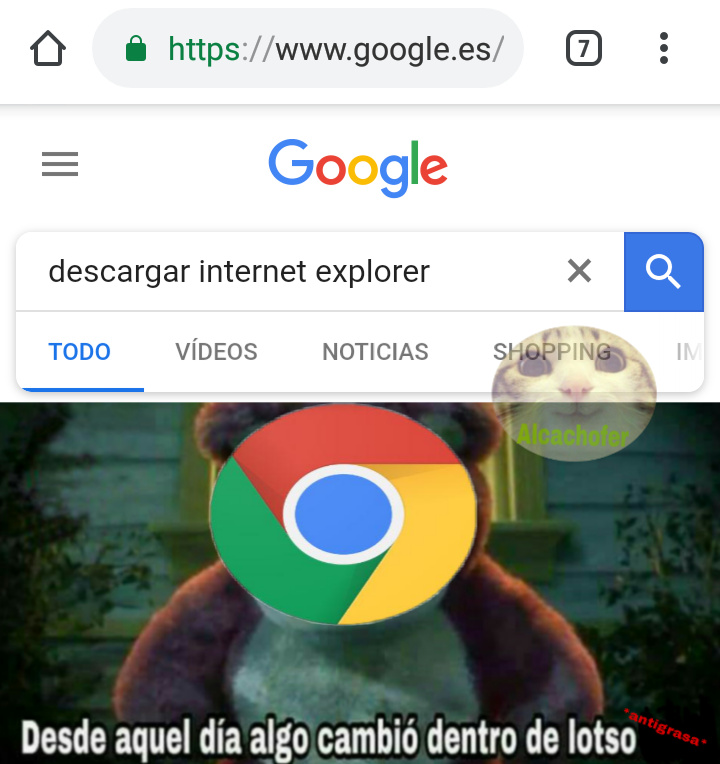 Viva Internet Explorer (Ok no) - meme