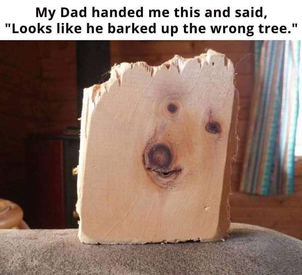 Probably came from a dogwood tree - meme
