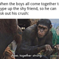 Apes are strong