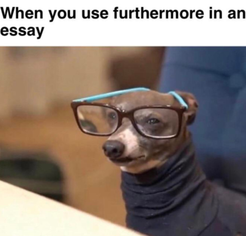 smart doggo - meme
