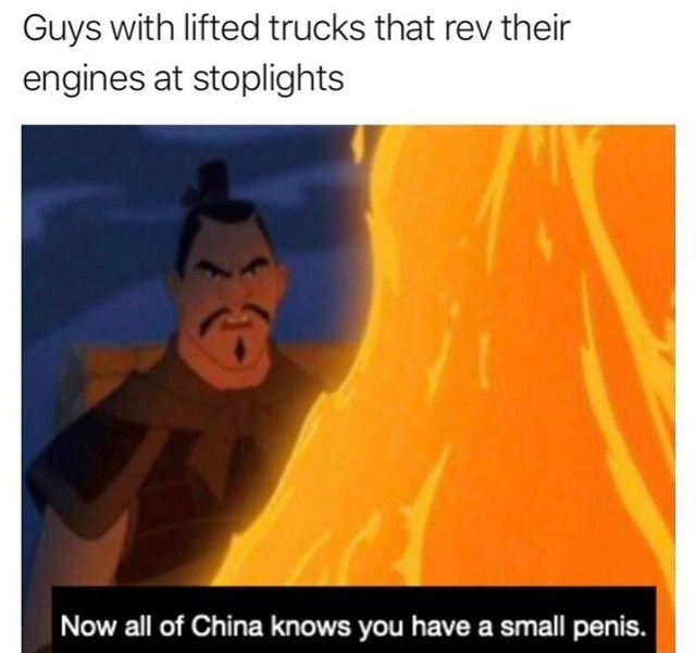 Those guys with lifted trucks that rev their engines at stoplights - meme