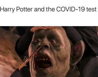HArry Potter during covid be like: - meme