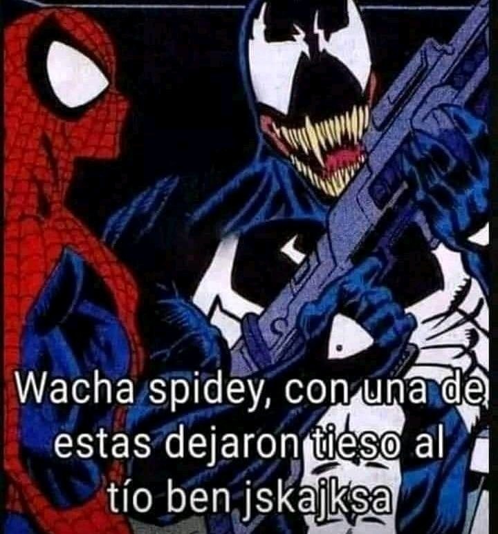 Spidergorda - meme