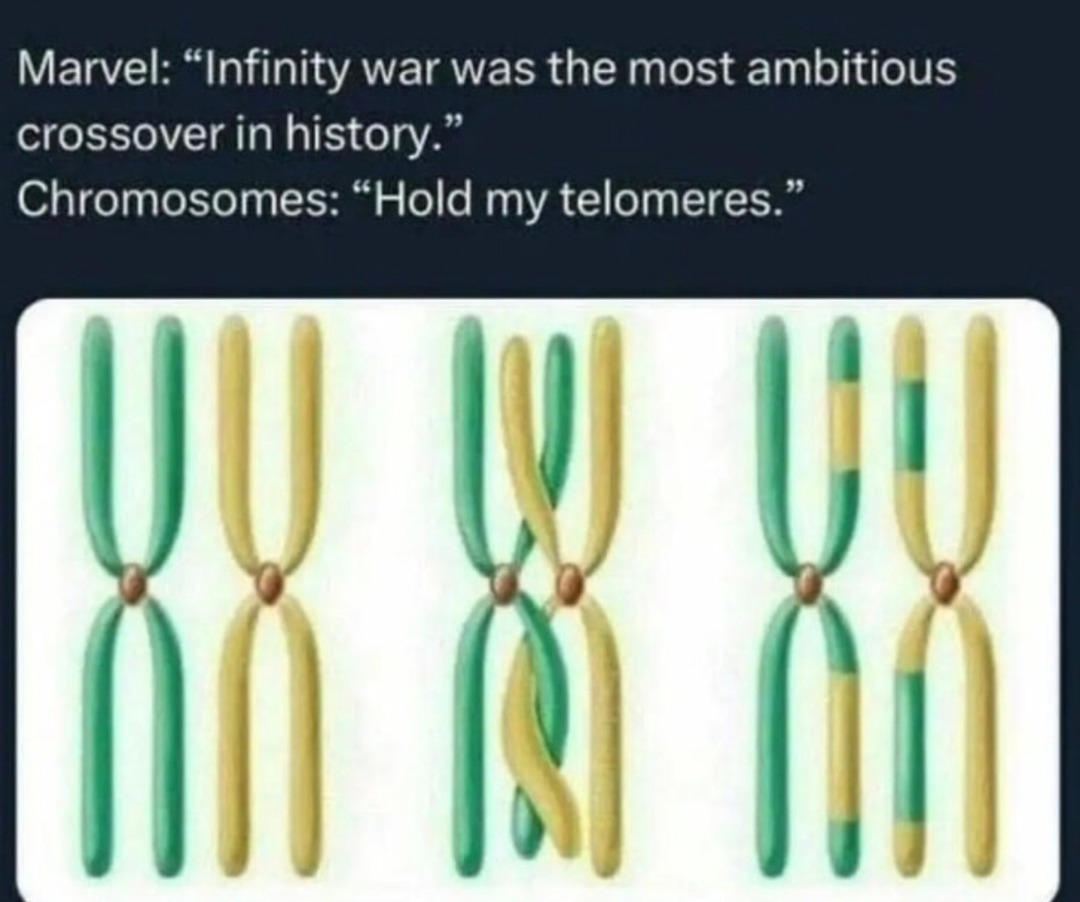 Marvel: biggest crossover ever Chromosomes: hold my alleles - meme