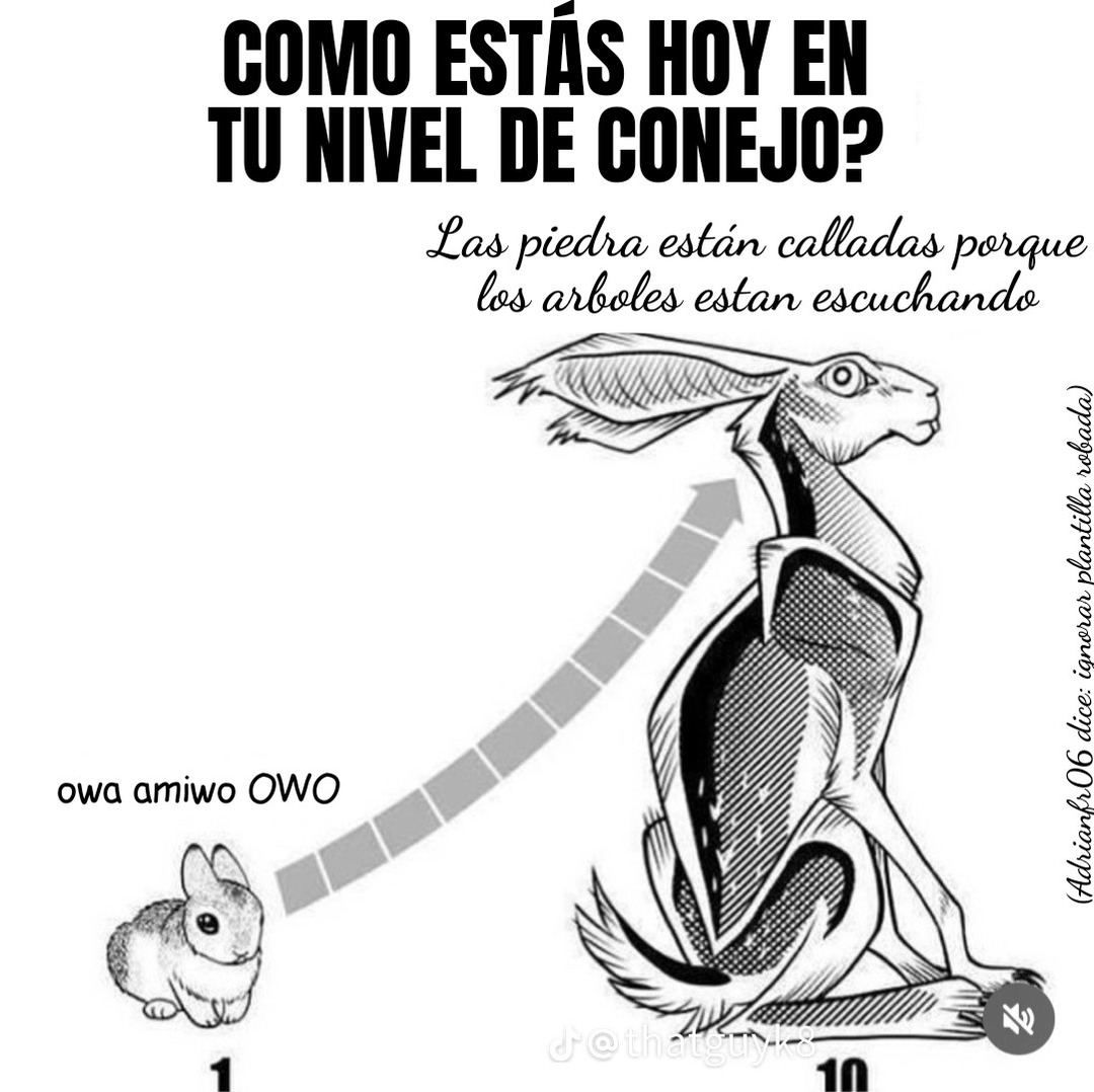 Nueva plantilla just dropped - meme