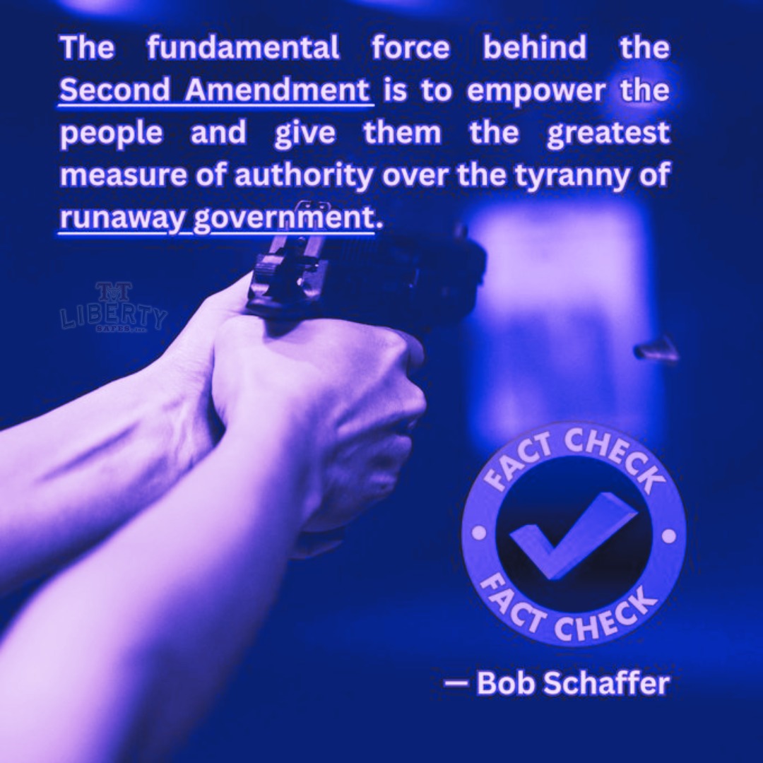 2nd Amendment - meme