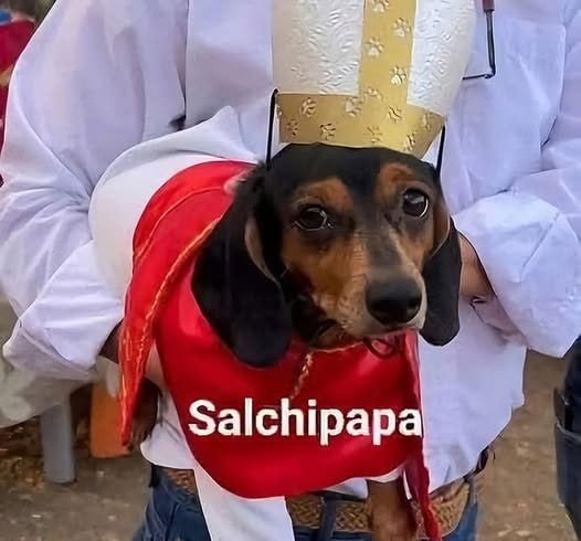 digan lo que digan, la salchipapa es arte - meme