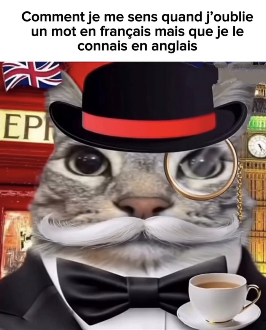 Quand j'ai le mot en anglais mais le français a fait alt+f4 - meme