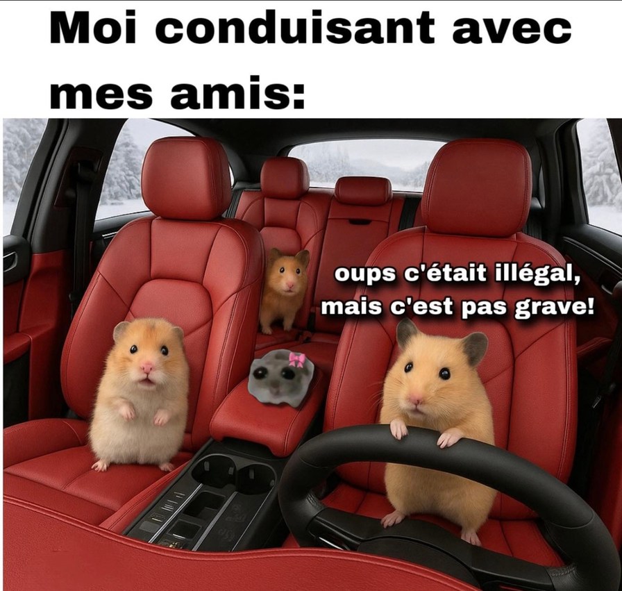 Moi au volant avec les potes : ah c'était interdit ? Oups - meme