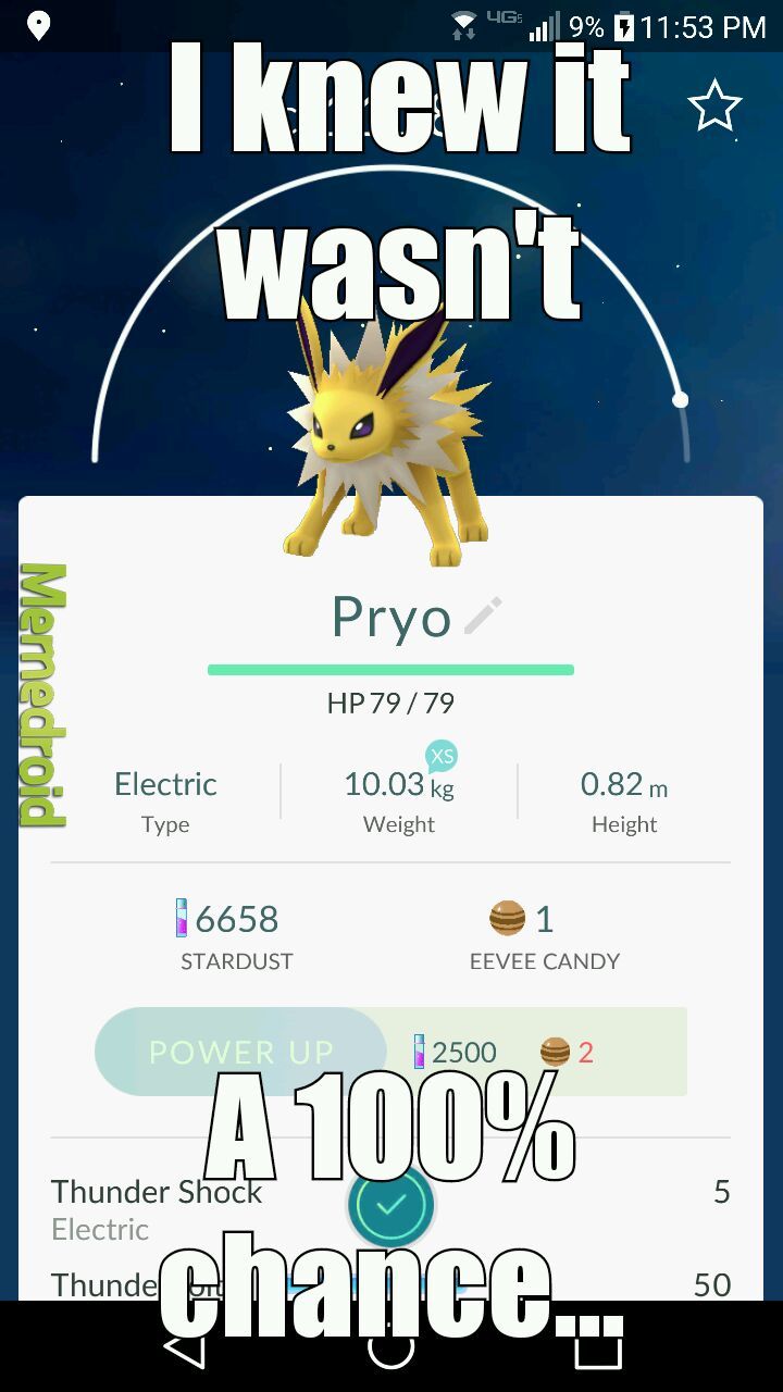 Named it Pyro 2 days ago... Came out Sparky...... - meme