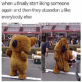 Depressed bear