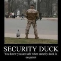 Security duck