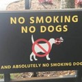 No no smoking dogs