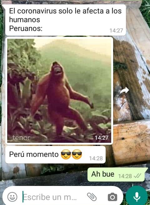 Peruanos - meme