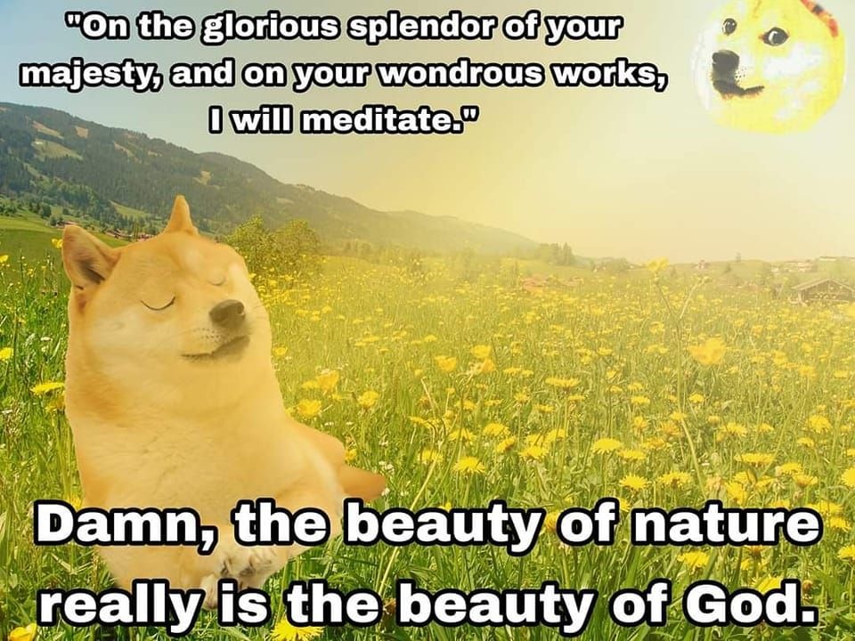 Be thankful for His majesty - meme
