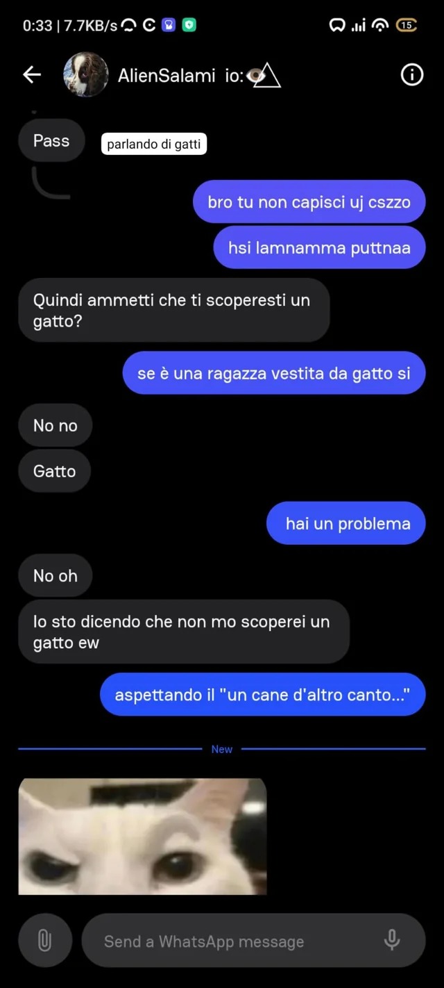gatti>cani - meme