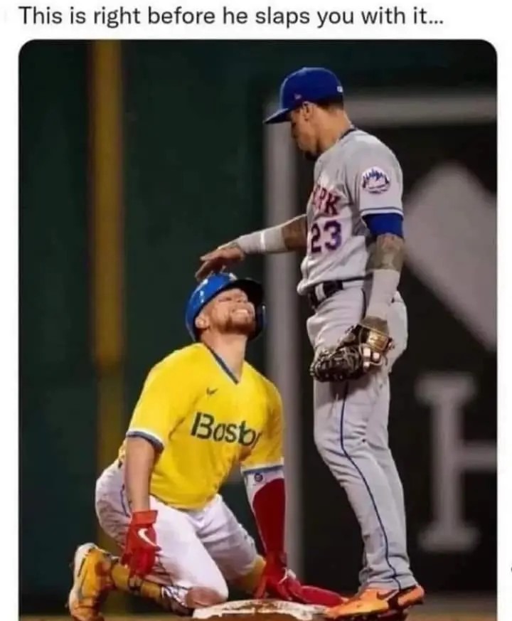 Gotta love being slapped before you suck - meme