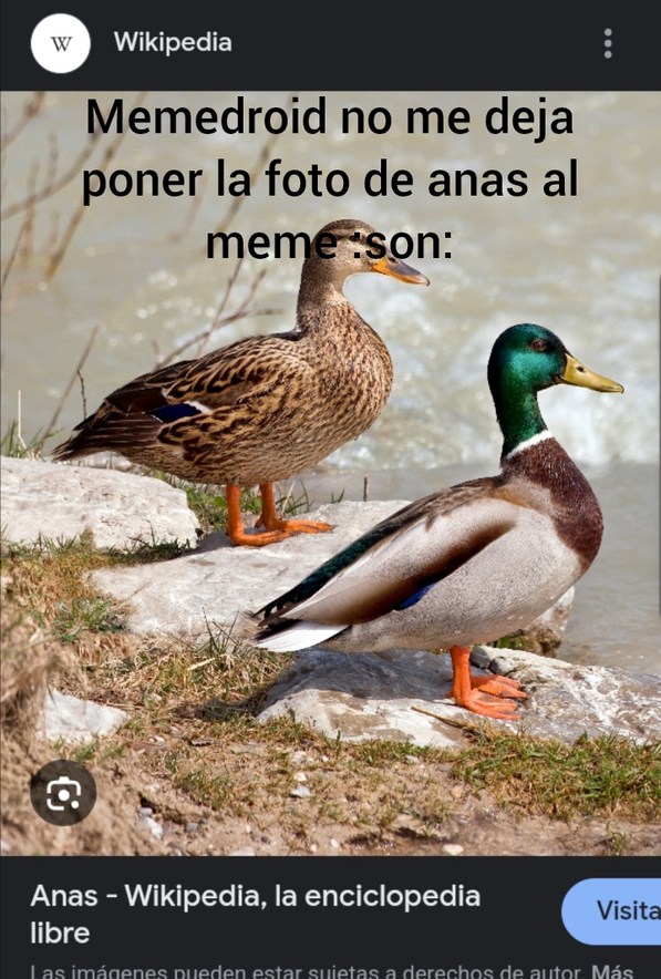 Llenenlo de negativos por mi - meme