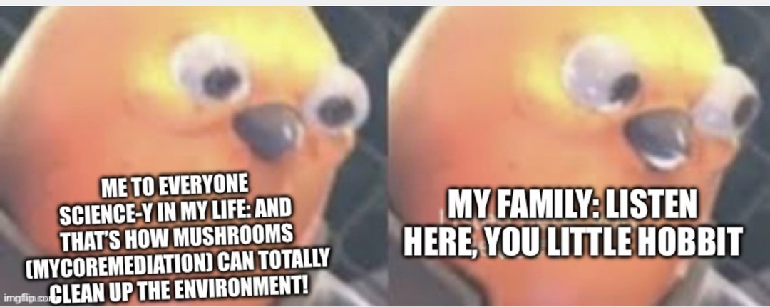 Hobbits love mushrooms - meme