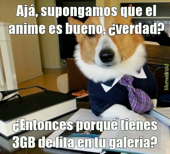 Perro - meme