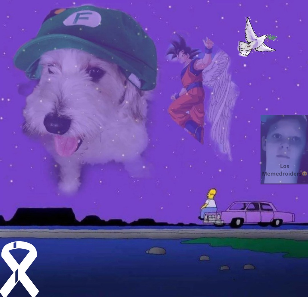 No se si es repost, avísenme en caso de que si. RIP Curly - meme