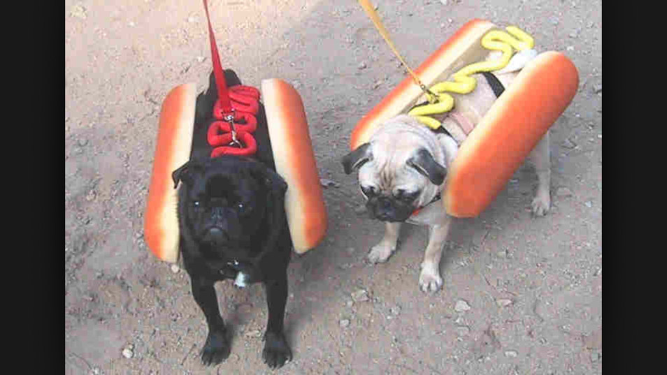 Hot dogs !! - meme