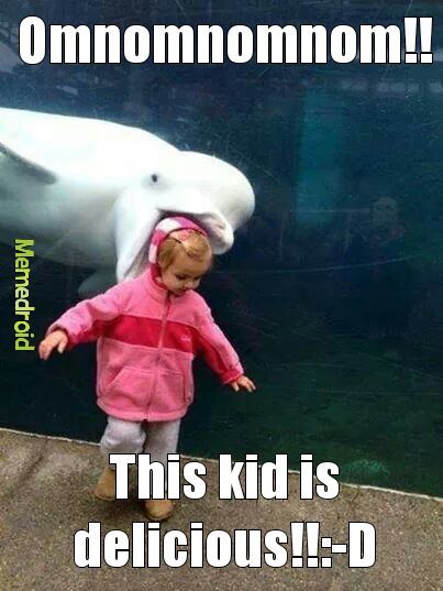 Dolphin gone bad!! - meme