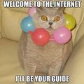 Internet guide!