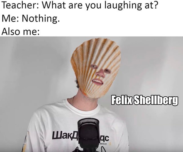 Felix Shellberg - meme