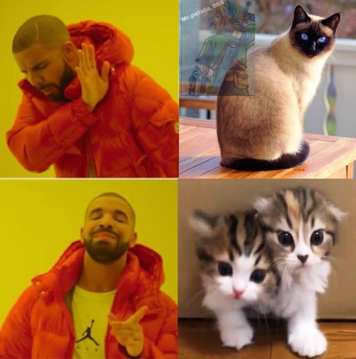 Gato siames - meme