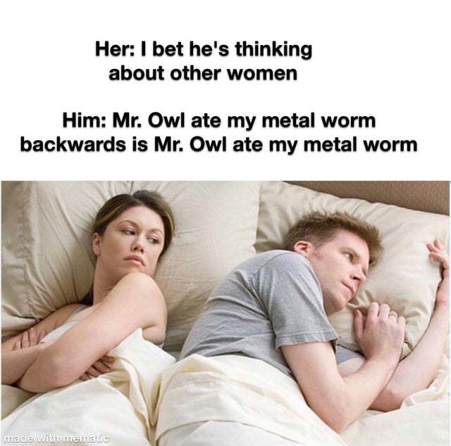 My owl ate my metal worm - meme