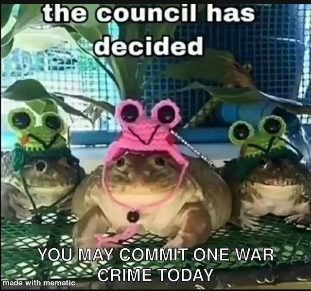 Frog council - meme