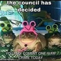 Frog council