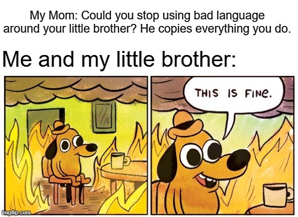 My Mom: Could you stop using bad language around your little brother? He copies everything you do. Me and my little brother: THIS IS FINE. - meme