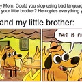 My Mom: Could you stop using bad language around your little brother? He copies everything you do. Me and my little brother: THIS IS FINE.