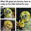 Catto does an iron man
