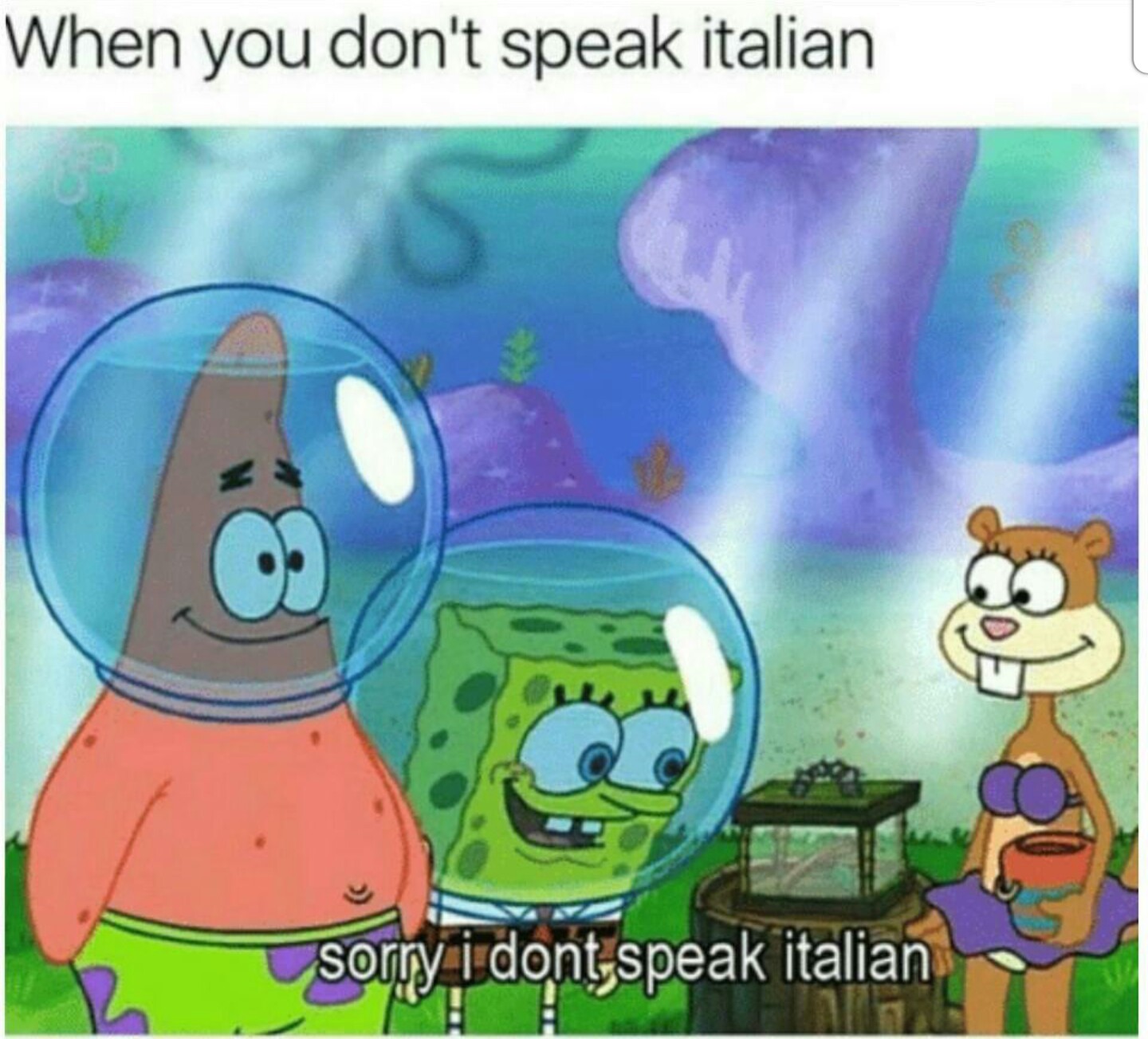 Italian - meme