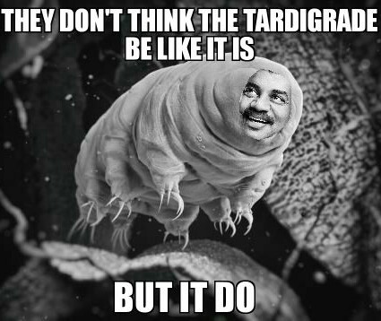 Neil Degrasse Tardibrö - meme