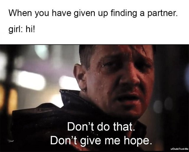When you have given up finding a partner - meme