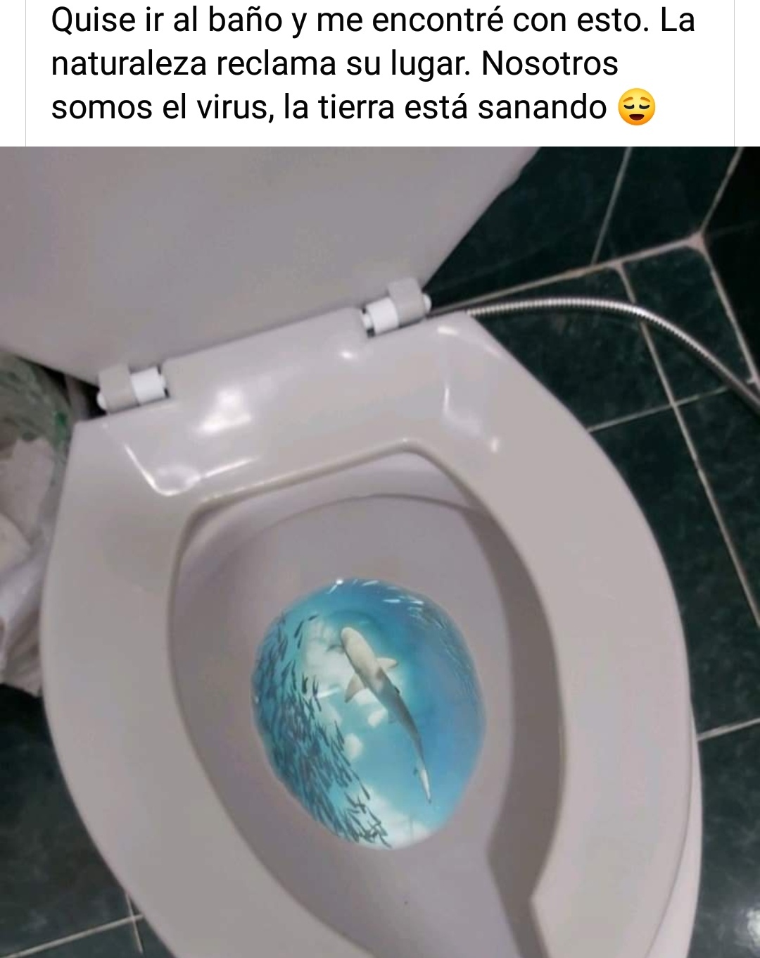 Aqua - meme