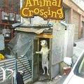 AnimalCrossing XDXD