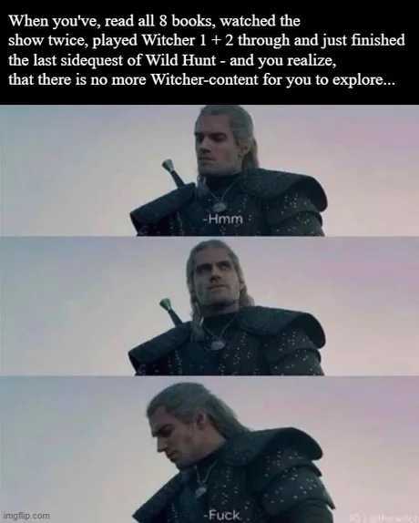 The best Witcher memes :) Memedroid
