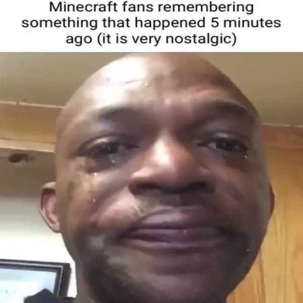 Minecraft fans - meme