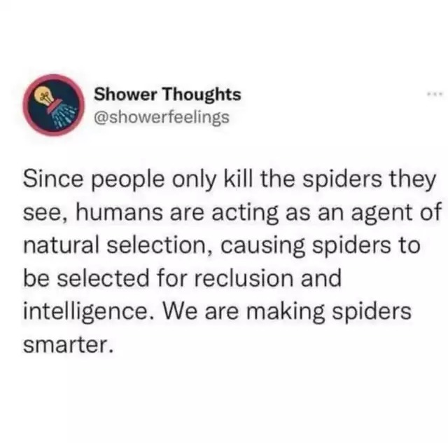 Spiders - meme