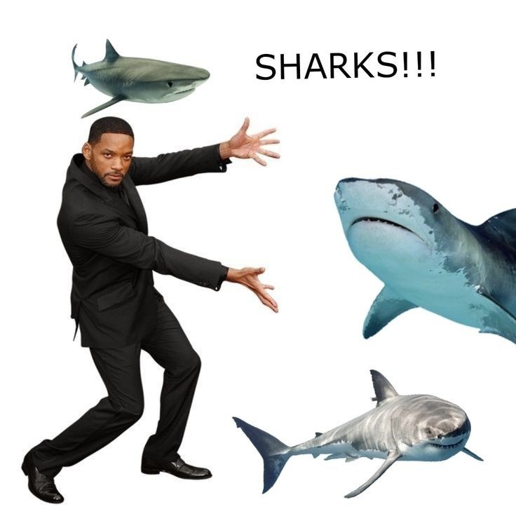 tiburones :happy: - meme