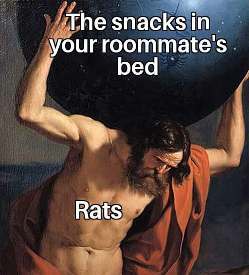 Snacks in rommate's bed - meme